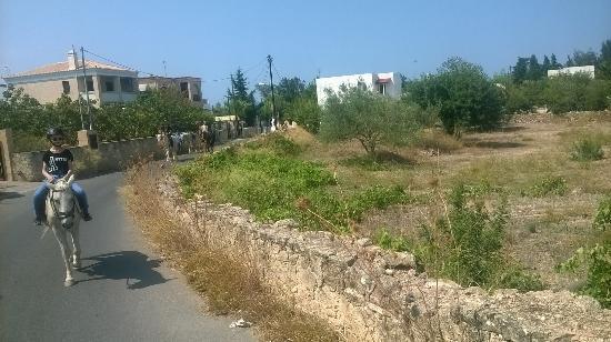 Άγιος Νεκτάριος