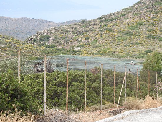 Παραλία Πέρδικα